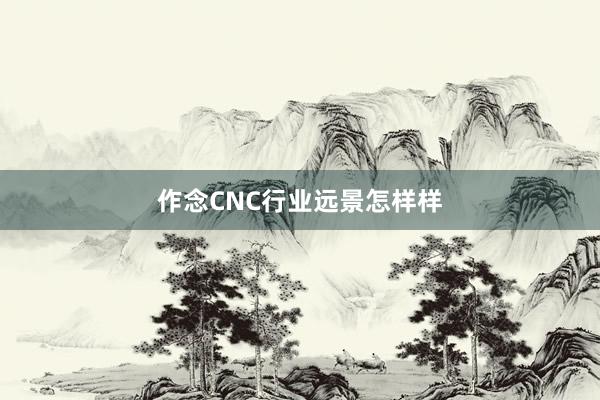 作念CNC行业远景怎样样