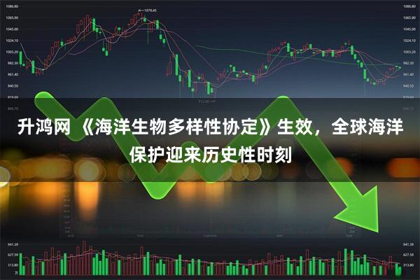 升鸿网 《海洋生物多样性协定》生效，全球海洋保护迎来历史性时刻