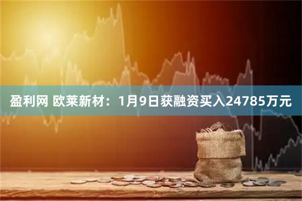 盈利网 欧莱新材：1月9日获融资买入24785万元